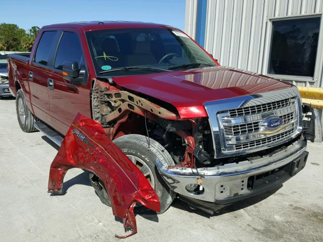 1FTFW1CT8EFA41842 - 2014 FORD F150 SUPER RED photo 1