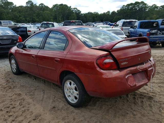 1B3ES56C75D185700 - 2005 DODGE NEON SXT RED photo 3