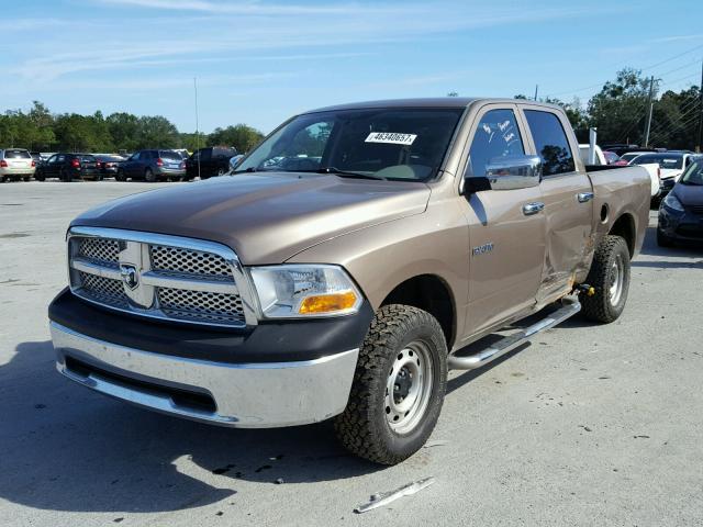 1D7RV1CP5AS261448 - 2010 DODGE RAM 1500 GOLD photo 2