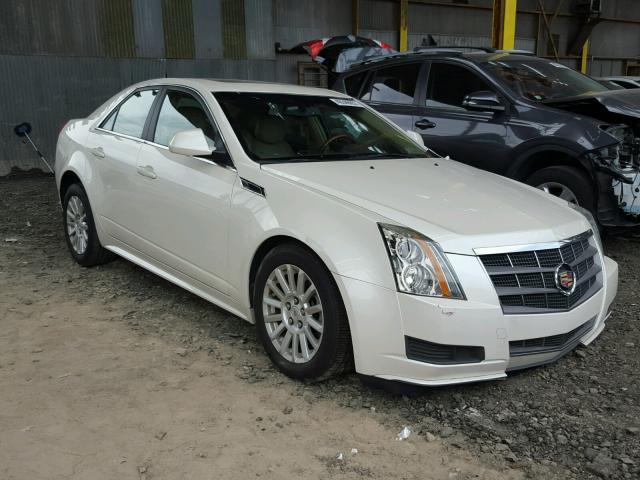 1G6DG5EY4B0159411 - 2011 CADILLAC CTS CREAM photo 1