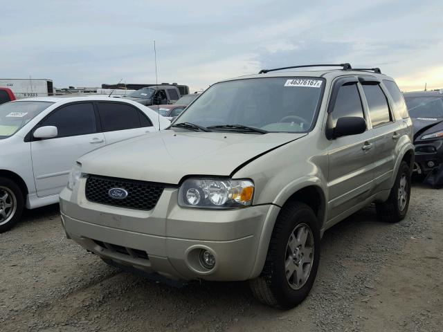 1FMCU94145KA78071 - 2005 FORD ESCAPE GOLD photo 2