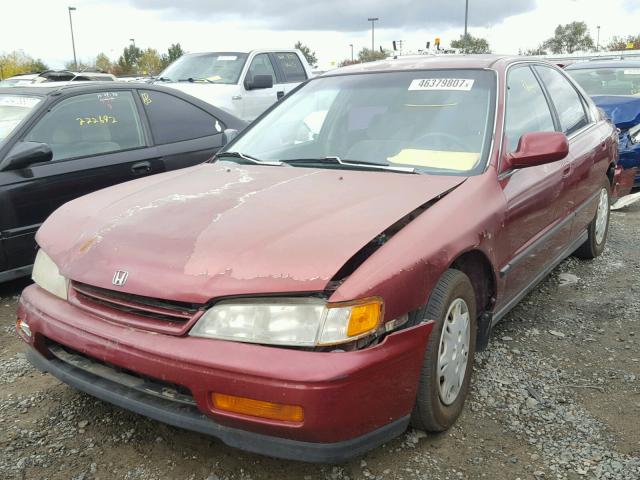 1HGCD5631SA049240 - 1995 HONDA ACCORD RED photo 2