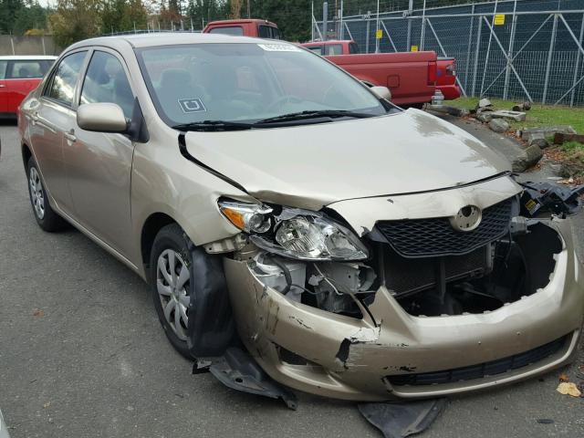 2T1BU40E89C133186 - 2009 TOYOTA COROLLA BA GOLD photo 1