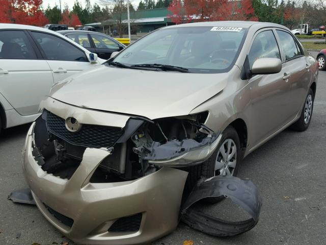 2T1BU40E89C133186 - 2009 TOYOTA COROLLA BA GOLD photo 2