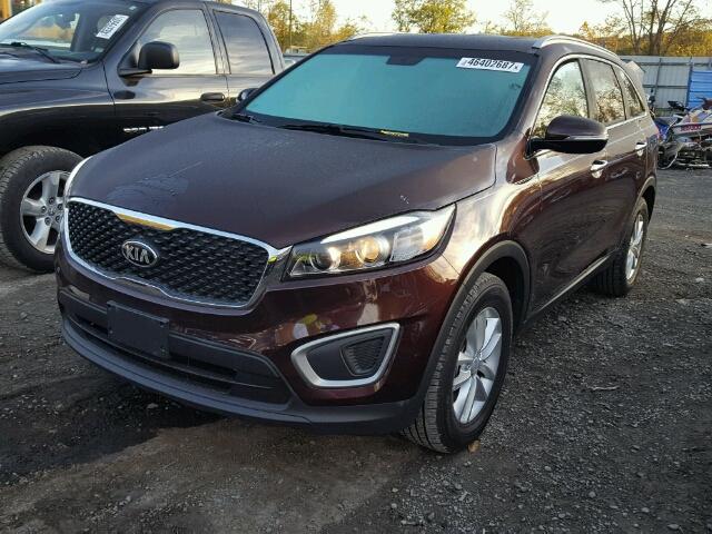 5XYPG4A33GG060756 - 2016 KIA SORENTO BURGUNDY photo 2