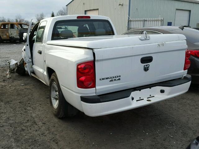 1D7HW28K48S556224 - 2008 DODGE DAKOTA QUA WHITE photo 3