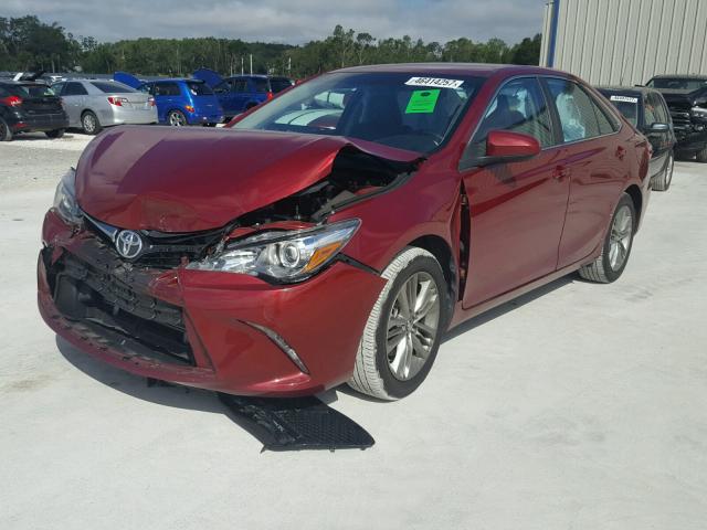 4T1BF1FK7GU596759 - 2016 TOYOTA CAMRY LE RED photo 2