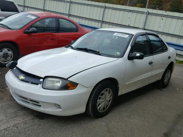 1G1JC52F547155112 - 2004 CHEVROLET CAVALIER WHITE photo 2