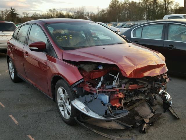 1FADP3K29DL180473 - 2013 FORD FOCUS SE RED photo 1