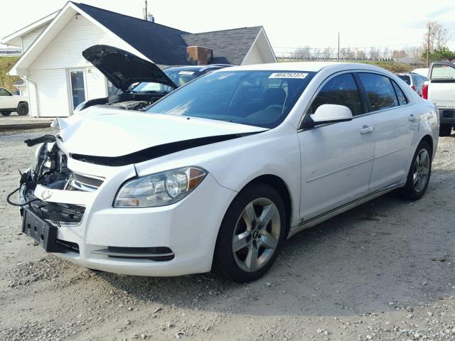 1G1ZH57B99F246584 - 2009 CHEVROLET MALIBU 1LT 白色 照片 2
