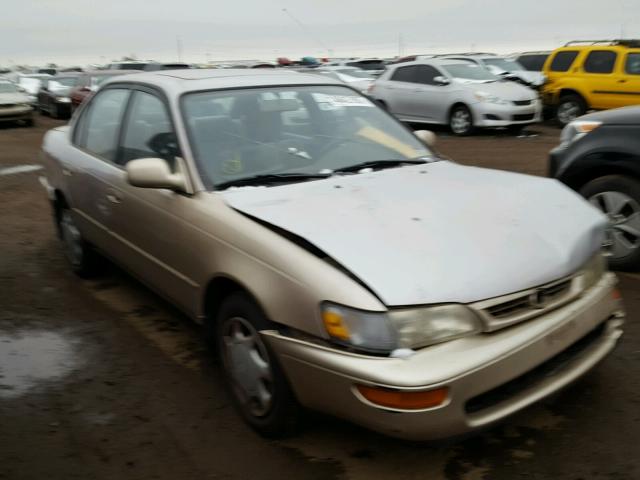 1NXBB02E9TZ491379 - 1996 TOYOTA COROLLA DX TAN photo 1