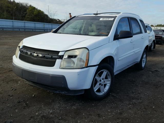 2CNDL63FX56078260 - 2005 CHEVROLET EQUINOX LT WHITE photo 2