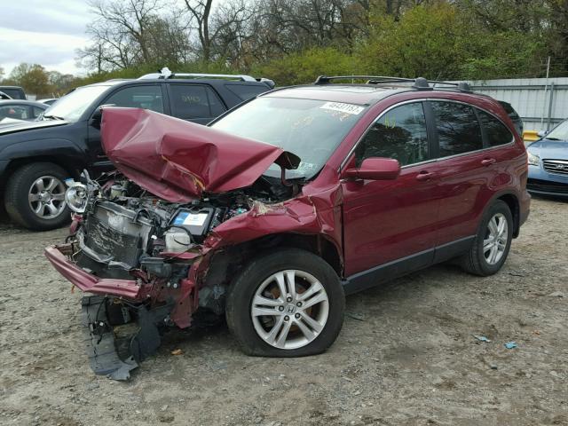 5J6RE4H70BL010444 - 2011 HONDA CR-V EXL BURGUNDY photo 2