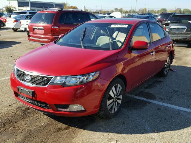 KNAFU4A22D5665347 - 2013 KIA FORTE EX RED photo 2