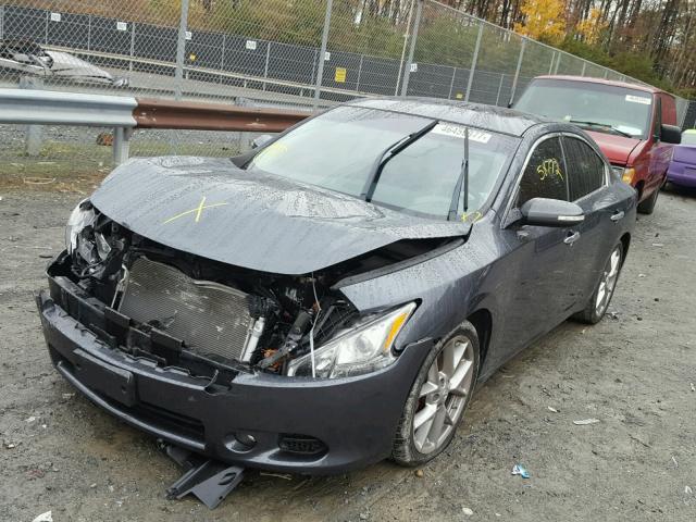 1N4AA5AP1BC846333 - 2011 NISSAN MAXIMA S GRAY photo 2