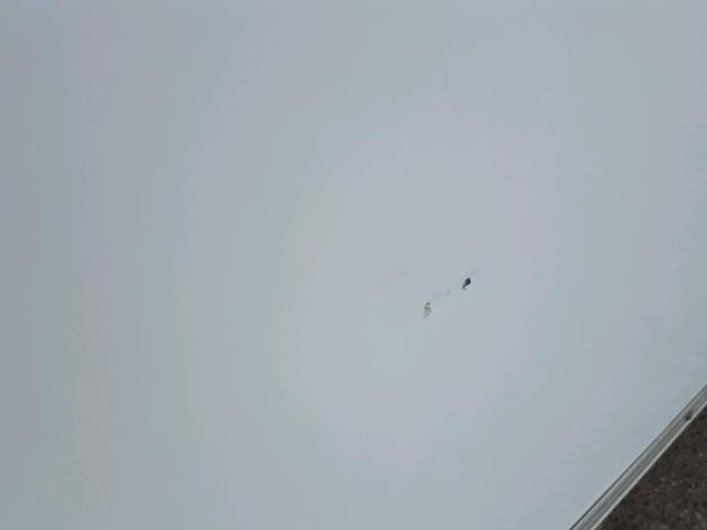 52K1F2825B1000933 - 2011 STOR ENCLOSED Ağ foto 9