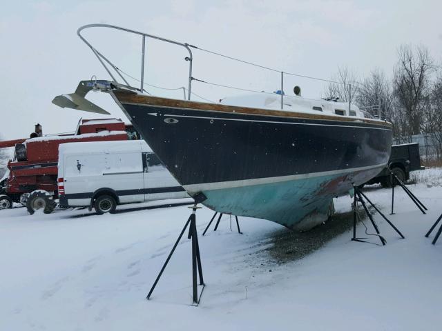 542874 - 1972 SAIL BOAT BLACK photo 2