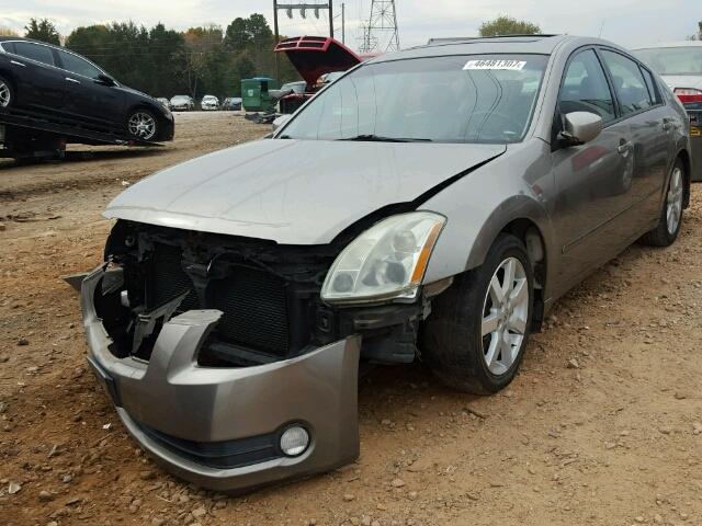 1N4BA41E46C856406 - 2006 NISSAN MAXIMA SE GOLD photo 2