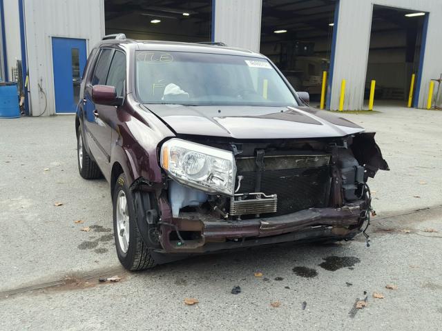 5FNYF4H45AB001079 - 2010 HONDA PILOT EX MAROON photo 1