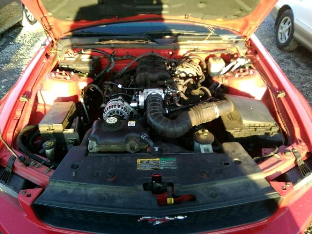 1ZVFT80NX65128511 - 2006 FORD MUSTANG RED photo 7