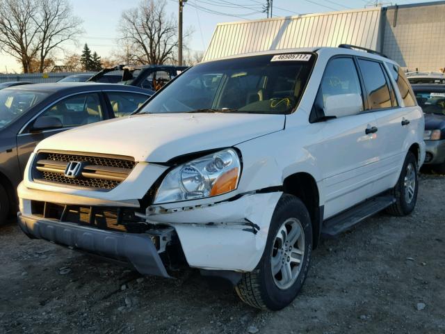 5FNYF18675B031741 - 2005 HONDA PILOT WHITE photo 2