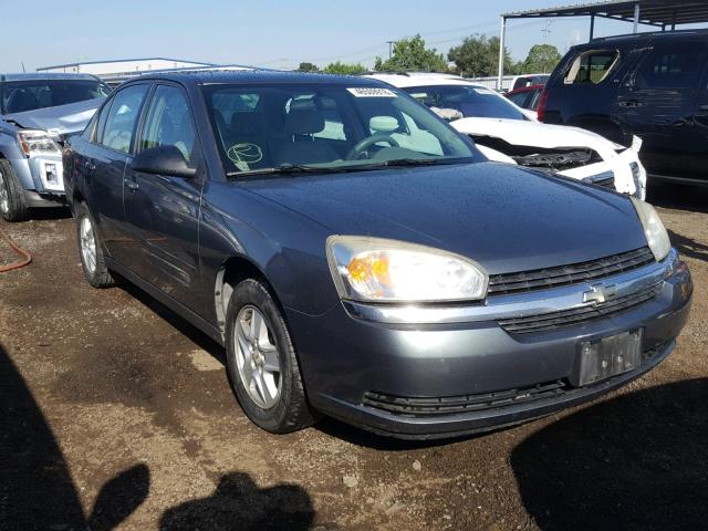 1G1ZT54895F292871 - 2005 CHEVROLET MALIBU LS გრაფიტი ფოტო 1