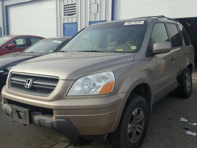 2HKYF18564H561304 - 2004 HONDA PILOT EXL TAN photo 2