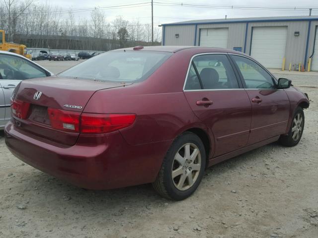 1HGCM66505A011431 - 2005 HONDA ACCORD EX BURGUNDY photo 4