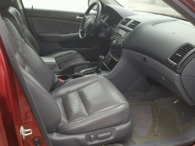 1HGCM66505A011431 - 2005 HONDA ACCORD EX 勃艮第红 照片 5