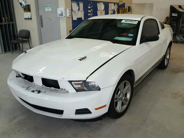 1ZVBP8AN5A5137594 - 2010 FORD MUSTANG WHITE photo 2
