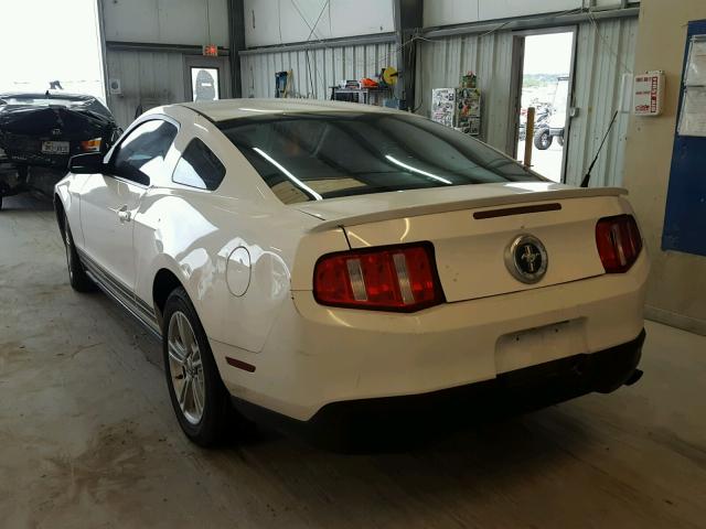 1ZVBP8AN5A5137594 - 2010 FORD MUSTANG WHITE photo 3