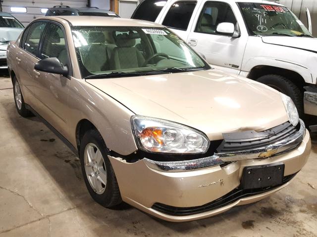 1G1ZT54885F327982 - 2005 CHEVROLET MALIBU LS GOLD photo 1