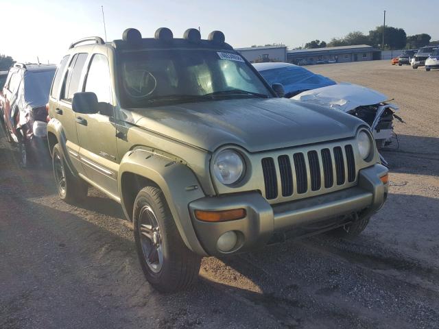1J4GL38K73W604847 - 2003 JEEP LIBERTY RE GREEN photo 1