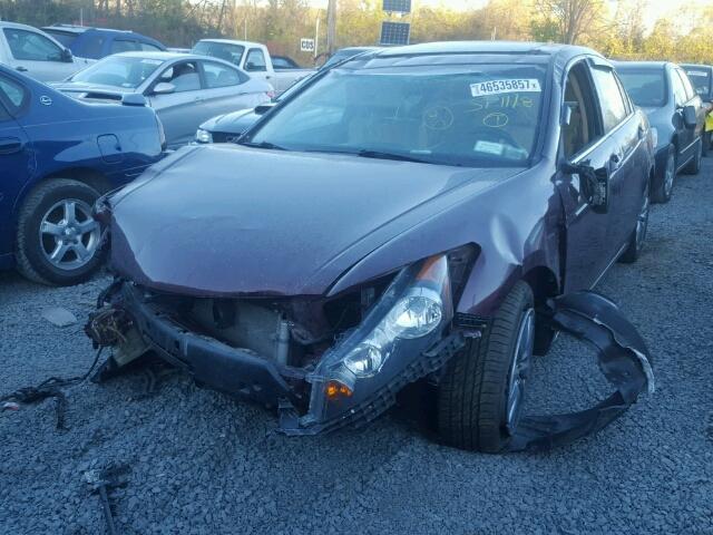 1HGCP2F87BA084740 - 2011 HONDA ACCORD EXL BURGUNDY photo 2