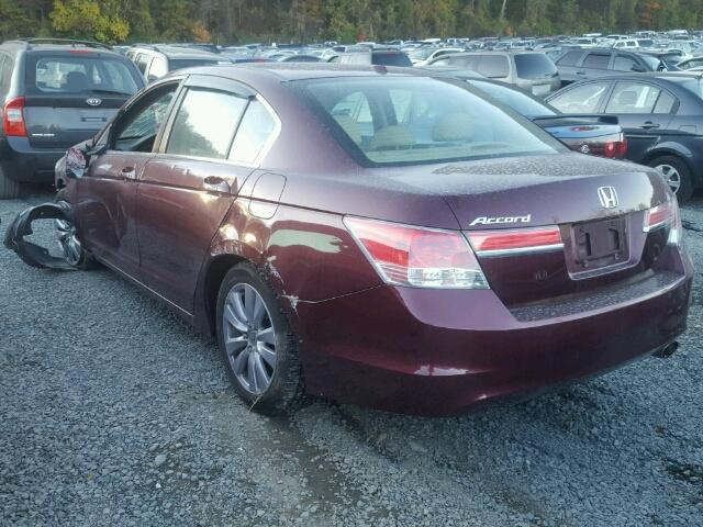 1HGCP2F87BA084740 - 2011 HONDA ACCORD EXL BURGUNDY photo 3