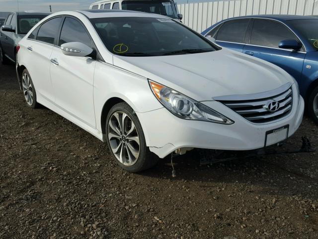 5NPEC4AC3EH843004 - 2014 HYUNDAI SONATA SE WHITE photo 1