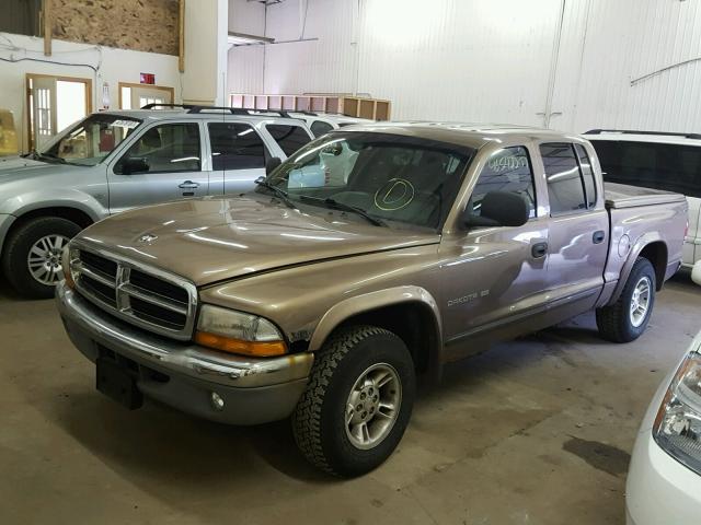 1B7GG2AN7YS636088 - 2000 DODGE DAKOTA QUA TAN photo 2