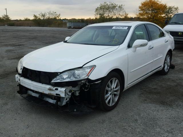 JTHBK1EG5B2469606 - 2011 LEXUS ES 350 WHITE photo 2