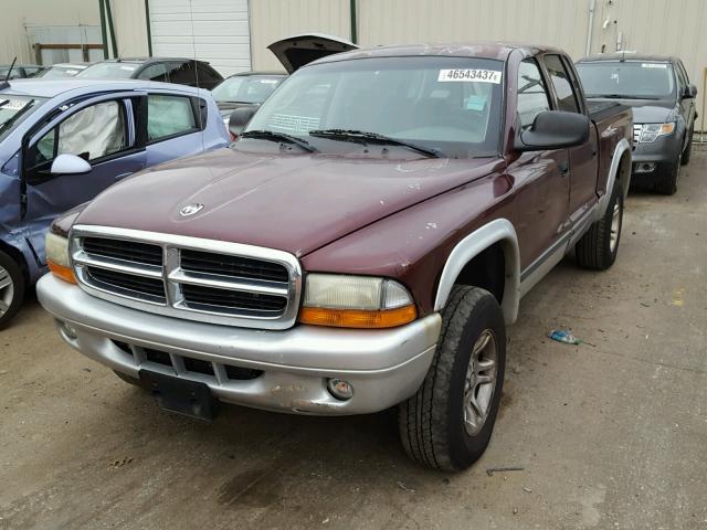 1D7HG48N63S103346 - 2003 DODGE DAKOTA MAROON photo 2