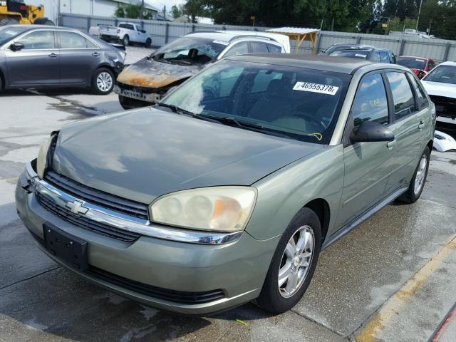 1G1ZT64845F329279 - 2005 CHEVROLET MALIBU MAX GREEN photo 2