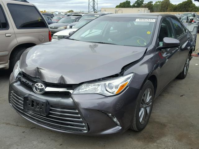 4T4BF1FK4GR579830 - 2016 TOYOTA CAMRY LE GRAY photo 2