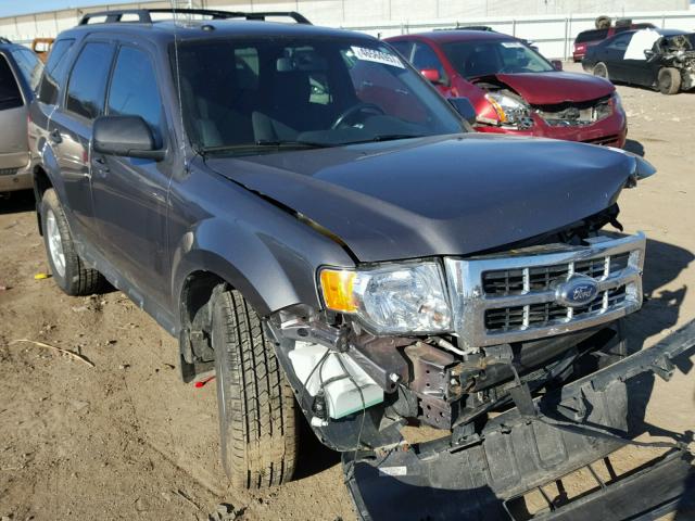 1FMCU0DG8BKA54867 - 2011 FORD ESCAPE XLT GRAY photo 1