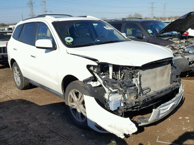 5NMSK4AG6AH366651 - 2010 HYUNDAI SANTA FE L WHITE photo 1