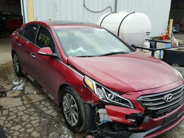 5NPE34AF0GH389758 - 2016 HYUNDAI SONATA SPO BURGUNDY photo 1