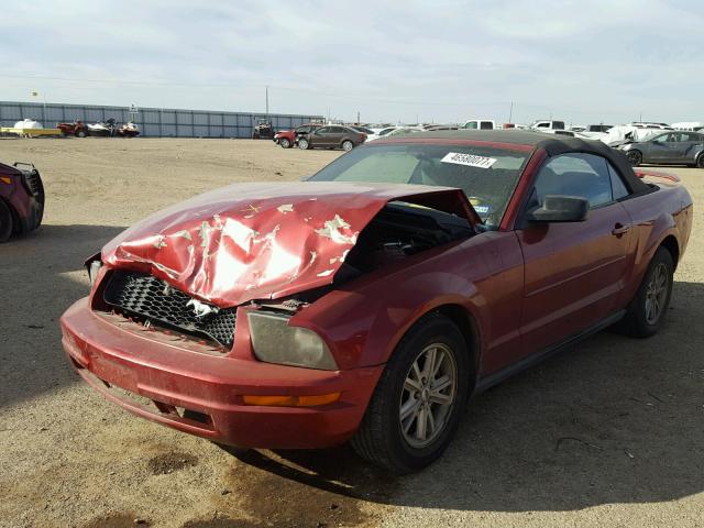 1ZVFT84NX65202486 - 2006 FORD MUSTANG RED photo 2