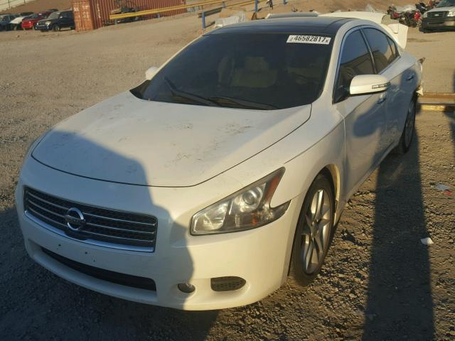 1N4AA5AP9AC866456 - 2010 NISSAN MAXIMA S WHITE photo 2