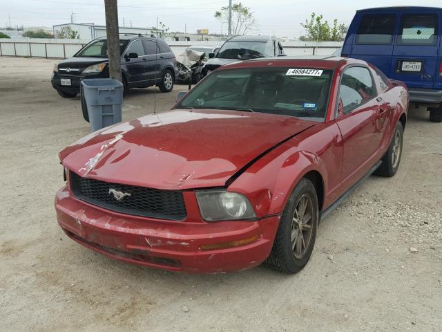 1ZVF780N755184159 - 2005 FORD MUSTANG RED photo 2
