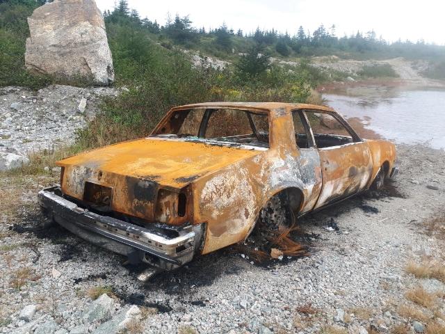 2J37Y8A166962 - 1978 PONTIAC GRAND PRIX შავი ფოტო 4