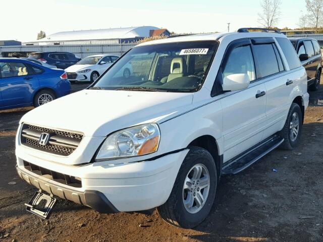 2HKYF18545H540940 - 2005 HONDA PILOT EXL WHITE photo 2