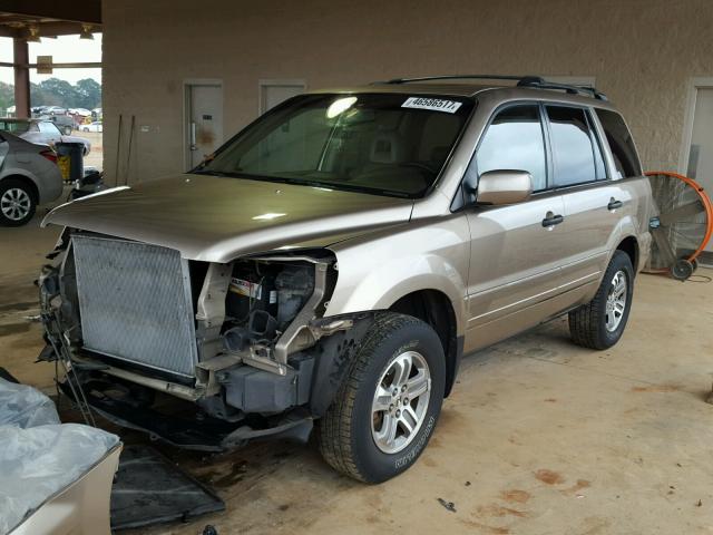 5FNYF18625B048785 - 2005 HONDA PILOT EXL GOLD photo 2